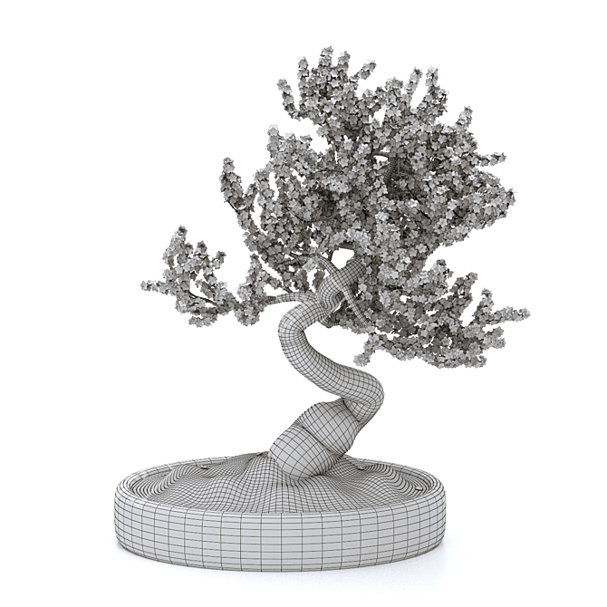 Sakura Bonsai Tree: 3D Model 3D model image 4