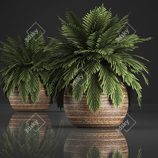 Tropical Plant Collection in Rattan Baskets 3D model image 1