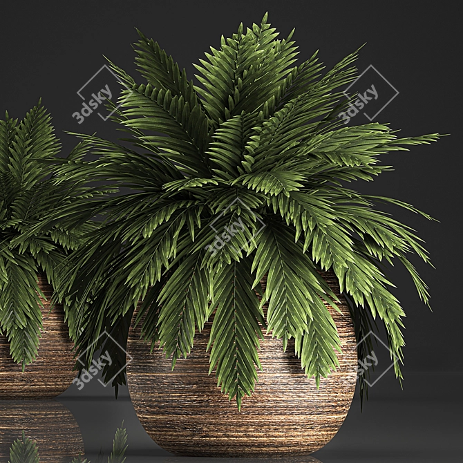 Tropical Plant Collection in Rattan Baskets 3D model image 2