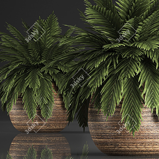 Tropical Plant Collection in Rattan Baskets 3D model image 3