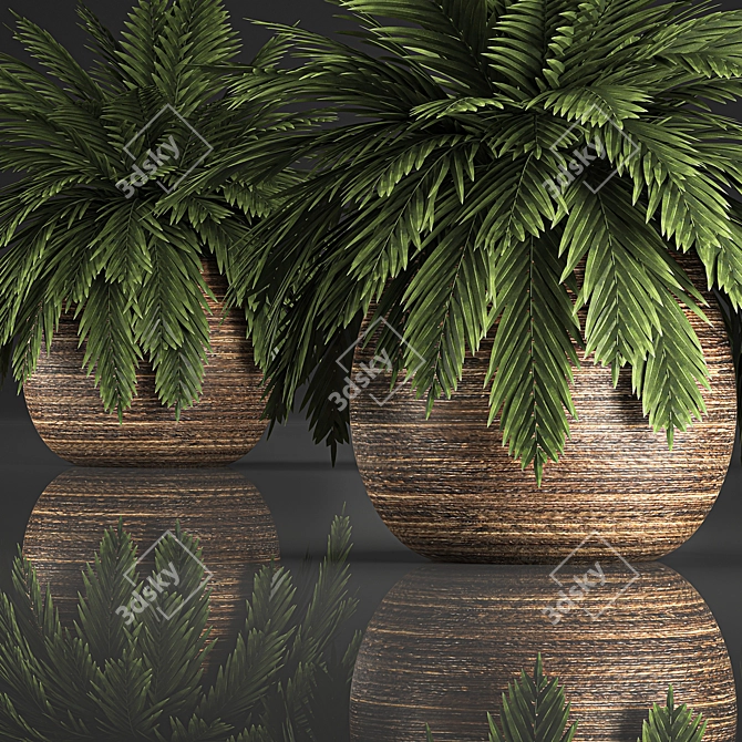 Tropical Plant Collection in Rattan Baskets 3D model image 4