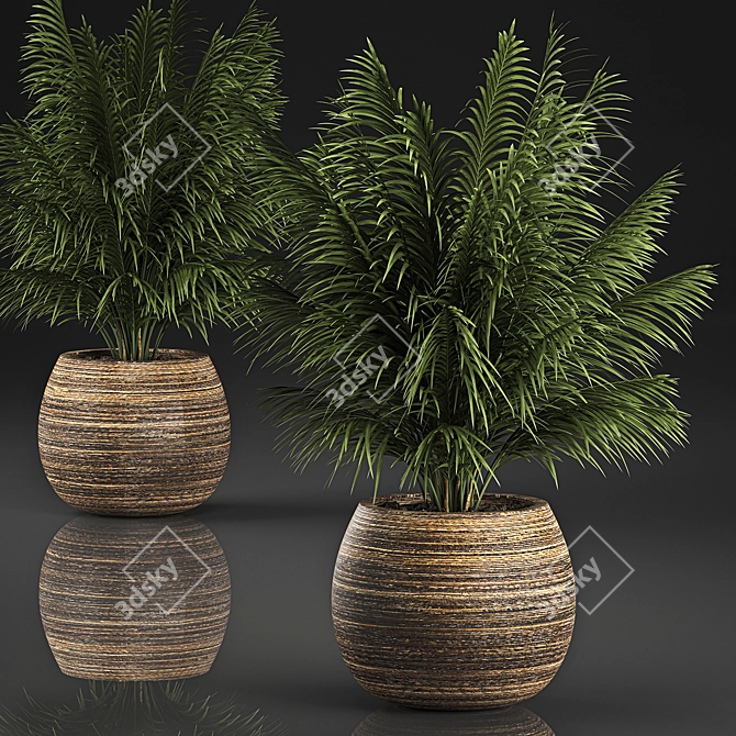 Tropical Plant Collection in Rattan Baskets 3D model image 1