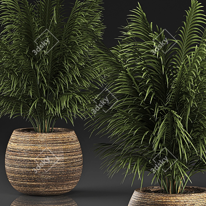 Tropical Plant Collection in Rattan Baskets 3D model image 2