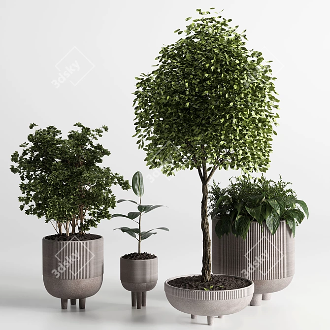 Elegant Indoor Plant 12 - 3D Model 3D model image 1