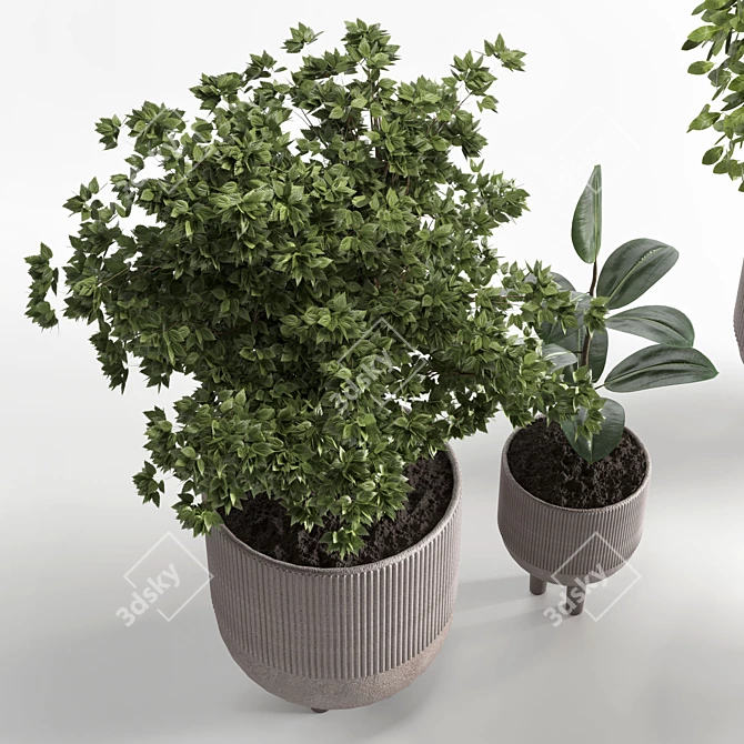 Elegant Indoor Plant 12 - 3D Model 3D model image 2