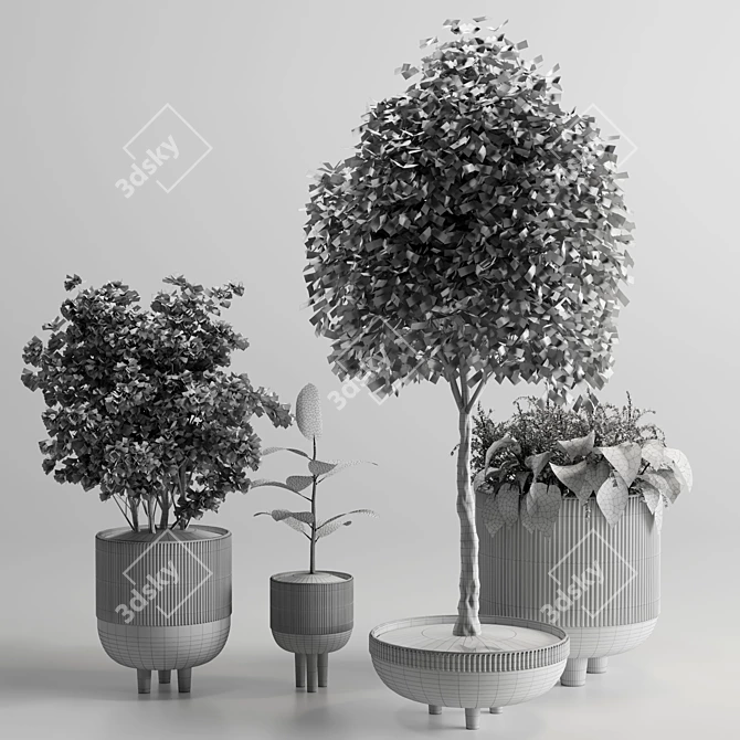 Elegant Indoor Plant 12 - 3D Model 3D model image 5