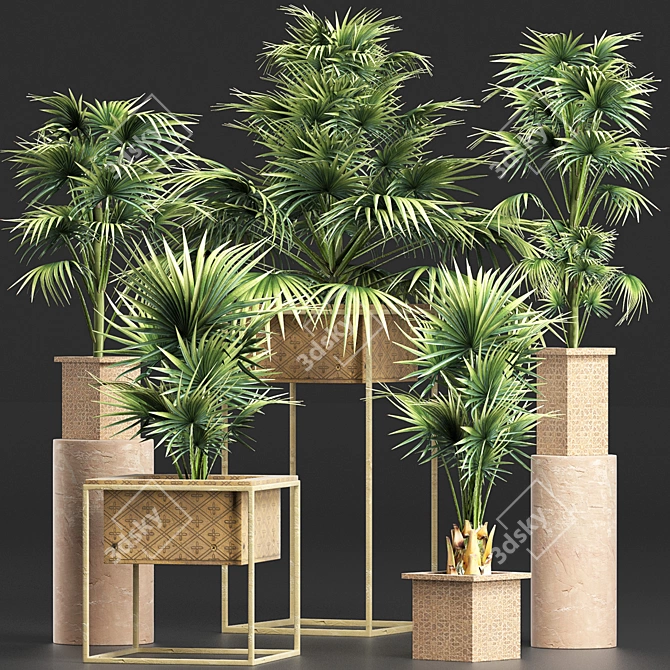 Exotic Palm Tree Collection 3D model image 1