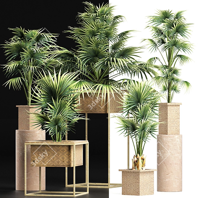 Exotic Palm Tree Collection 3D model image 2