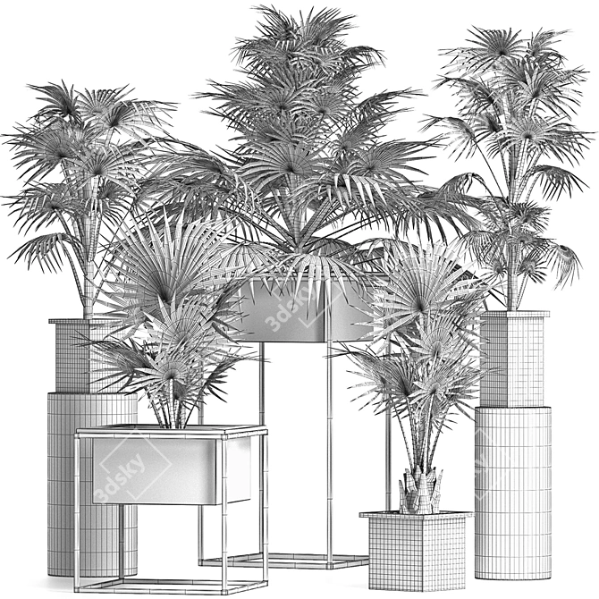 Exotic Palm Tree Collection 3D model image 5