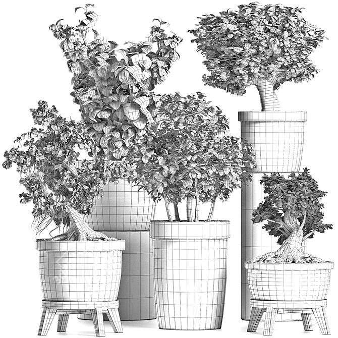 Exotic Bonsai Collection: 204 Sageretia Theezans 3D model image 5