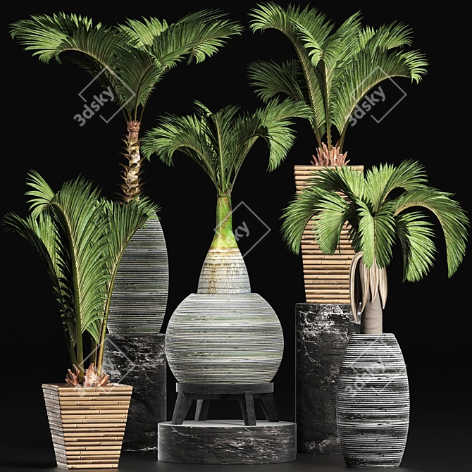 Tropical Palms Plant Collection 3D model image 2