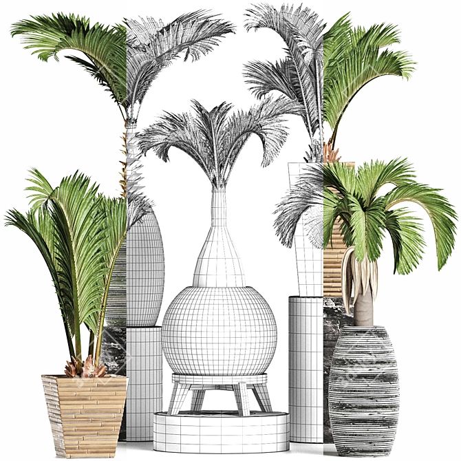 Tropical Palms Plant Collection 3D model image 3