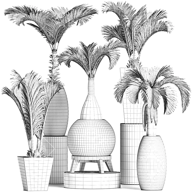 Tropical Palms Plant Collection 3D model image 5