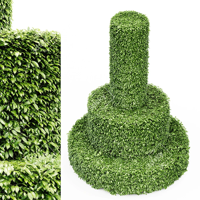 Dwarf Yaupon Holly Trio - Petite Evergreen Plants 3D model image 2