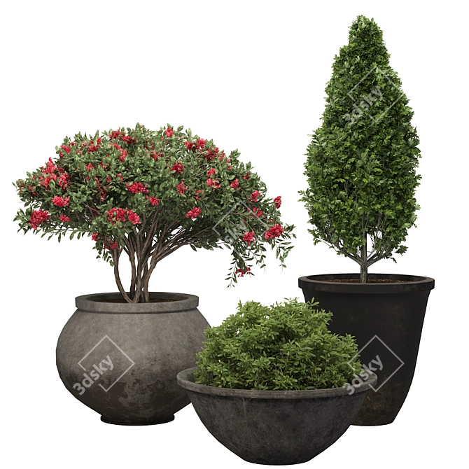 3D Plant Model with Textures 3D model image 1