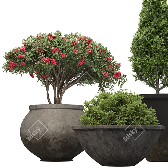 3D Plant Model with Textures 3D model image 2