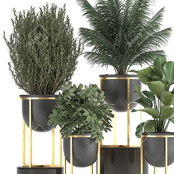 Tropical Plant Collection in Black Pots 3D model image 4