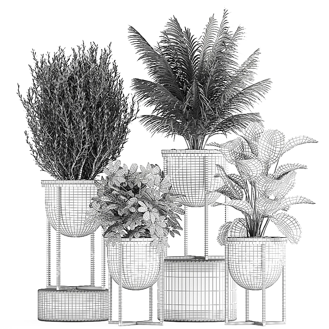 Tropical Plant Collection in Black Pots 3D model image 5