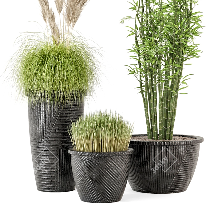 Outdoor Plants Set with Black Concrete Pot 3D model image 2