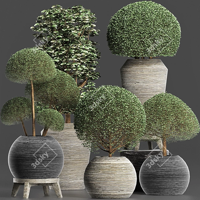 Exotic Houseplants Collection 3D model image 5