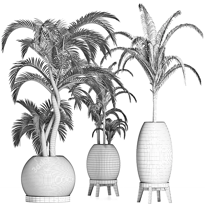 Tropical Palm Plants Collection 3D model image 5