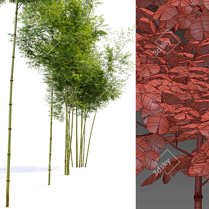 Tropical Elegance: Four Bamboo Trees 3D model image 3