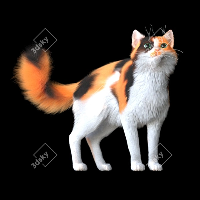 Tri-Colored Woolen Kitty 3D model image 1