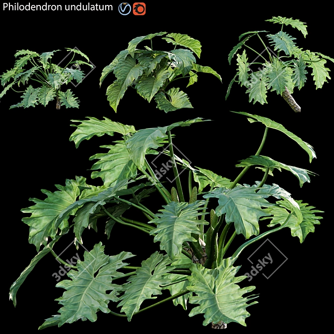 Lush Philodendron Plant 3D Model 3D model image 1