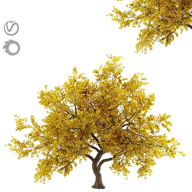 Tree 3D Model | 781K Polygons 3D model image 1