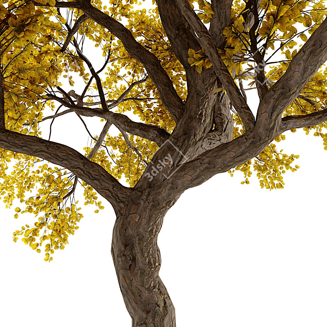 Tree 3D Model | 781K Polygons 3D model image 3