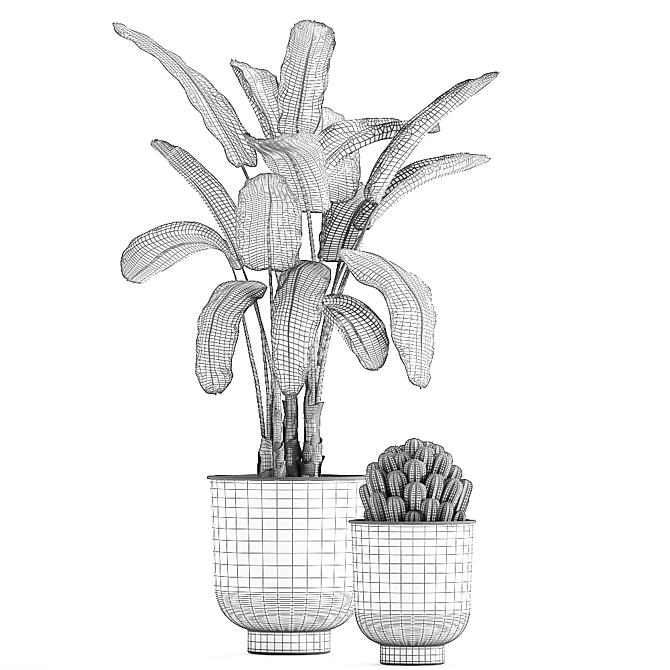 Tropical Plant Collection in Vig Planter 3D model image 5