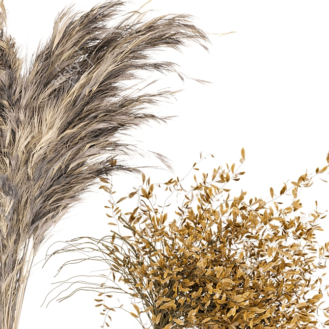 Pampas Dreams: Dried Plantset with Glass Vase 3D model image 3