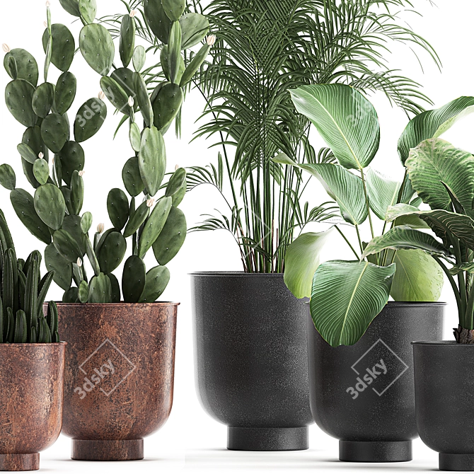 Tropical Plant Collection in Vig Planter 3D model image 2