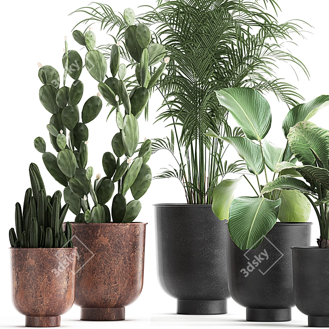 Tropical Plant Collection in Vig Planter 3D model image 4