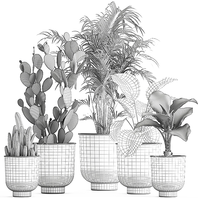 Tropical Plant Collection in Vig Planter 3D model image 5