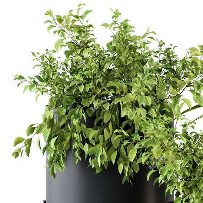 Stylish Black Box Plants Stand 3D model image 2