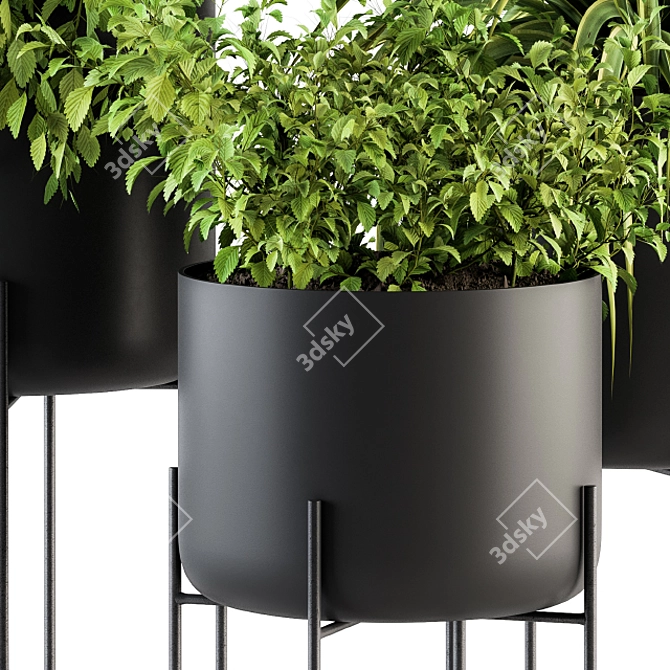 Stylish Black Box Plants Stand 3D model image 3