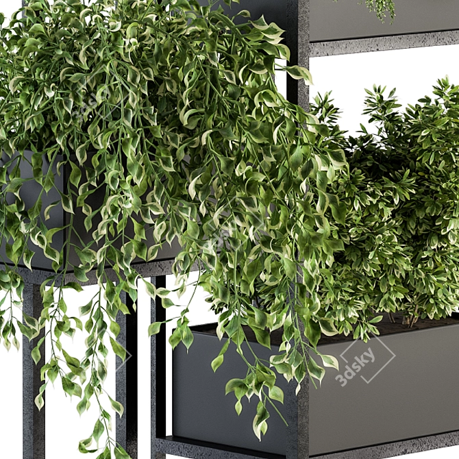 Elegant Black Box Stand Plant 3D model image 4