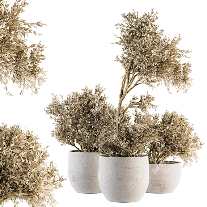 Natural Beauty: Dry Indoor Plant Set 3D model image 1