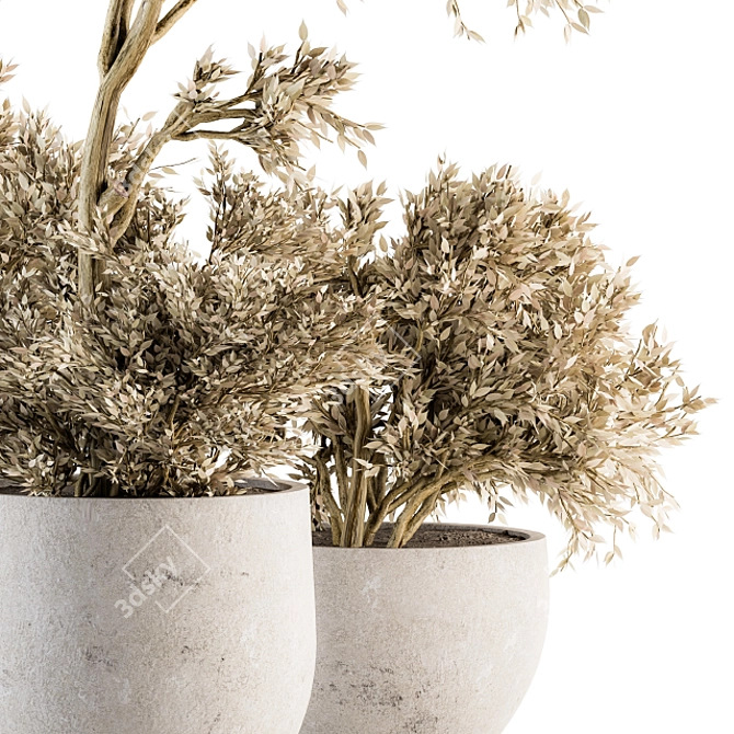 Natural Beauty: Dry Indoor Plant Set 3D model image 2