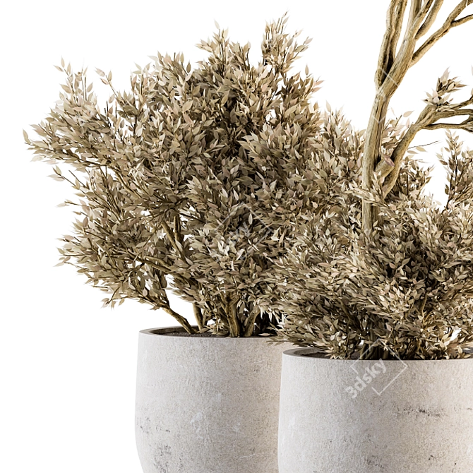 Natural Beauty: Dry Indoor Plant Set 3D model image 3
