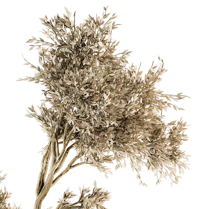 Natural Beauty: Dry Indoor Plant Set 3D model image 4