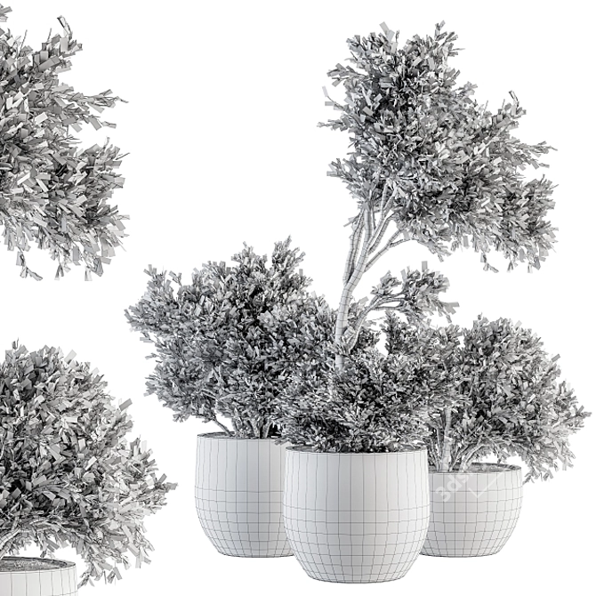 Natural Beauty: Dry Indoor Plant Set 3D model image 5