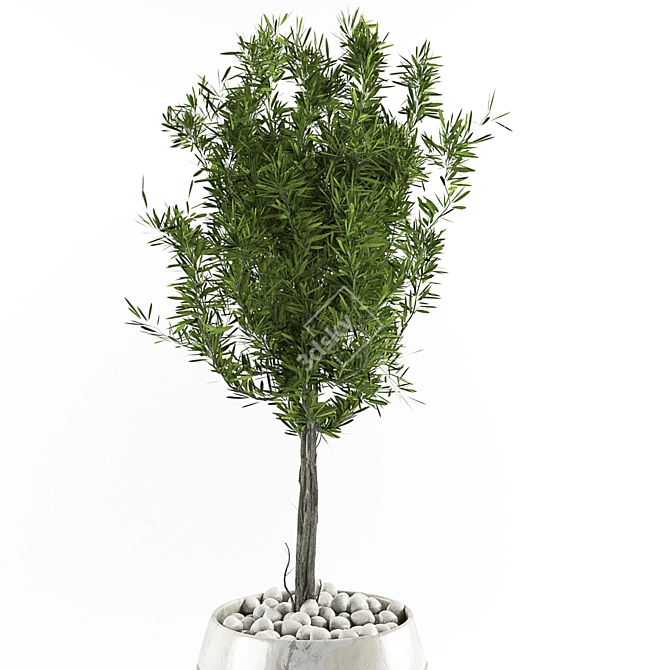 Indoor Oasis: 3D Plant Collection 3D model image 4