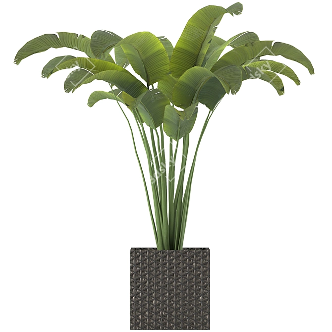 Versatile Apartment Plant: Indoor & Outdoor 3D model image 1