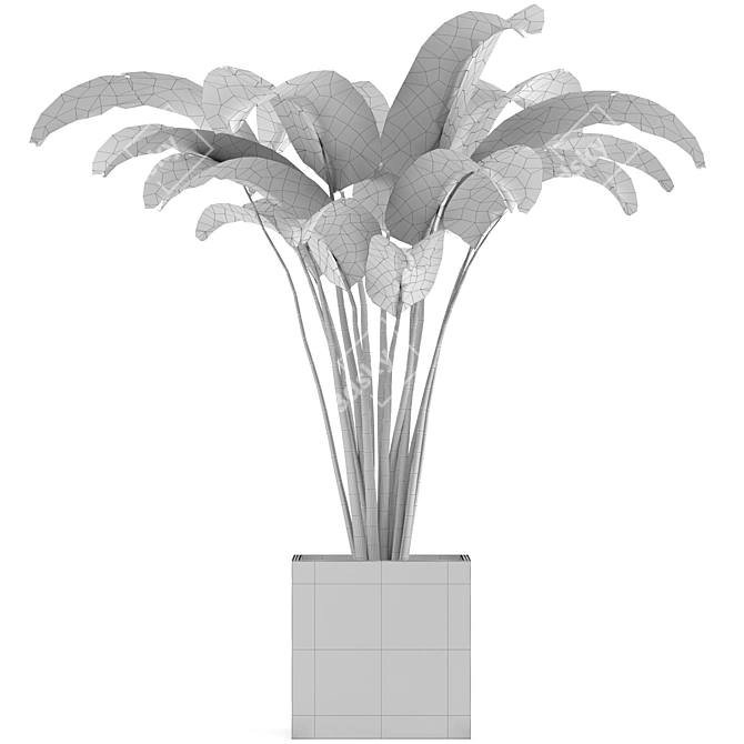 Versatile Apartment Plant: Indoor & Outdoor 3D model image 2