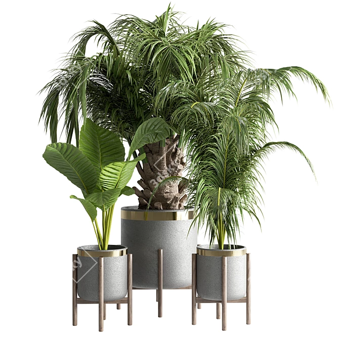 Tropical Green Indoor Plant 3D model image 1