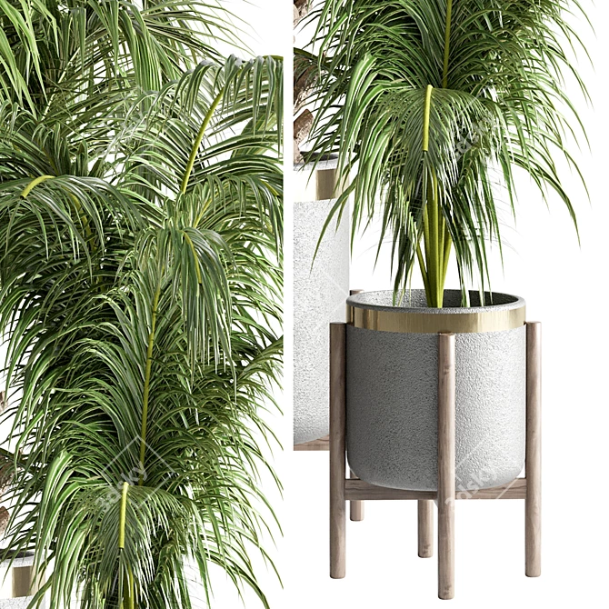Tropical Green Indoor Plant 3D model image 2