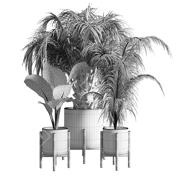 Tropical Green Indoor Plant 3D model image 4