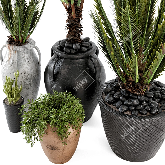 Rustic Concrete Pot with Outdoor Plants - Set of 50 3D model image 4